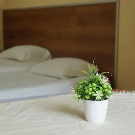 Alle's M Shyri Appartement *