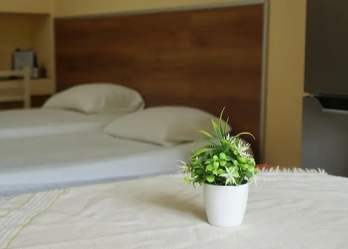 Alle's M Shyri Apartamento *